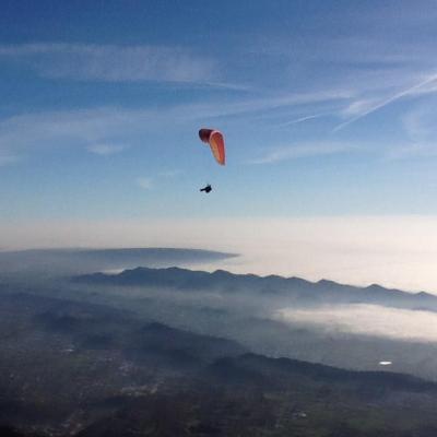 Bassanonet.it Volo a impatto zero