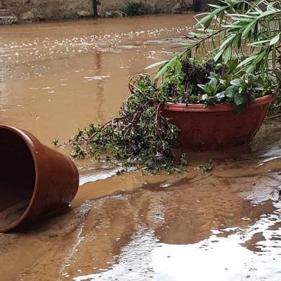 Bassanonet.it Acqua fritta