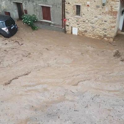 Bassanonet.it Un mondo di melma