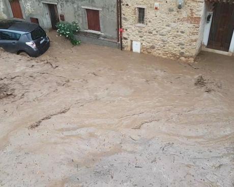 Bassanonet.it Un mondo di melma