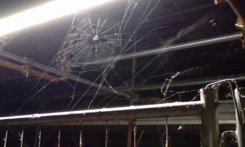 Bassanonet.it - Foto: PD Bassano del Grappa