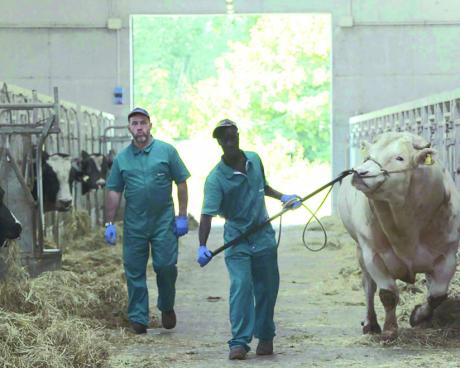 Bassanonet.it Il lungo viaggio di Anagoor