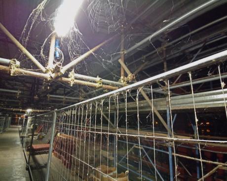 Bassanonet.it Spider-Bridge