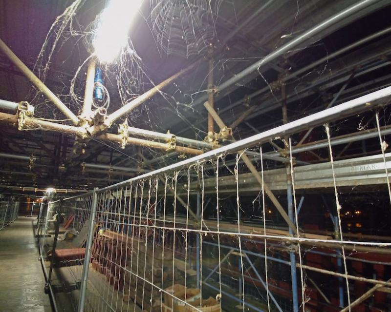 Bassanonet.it Spider-Bridge