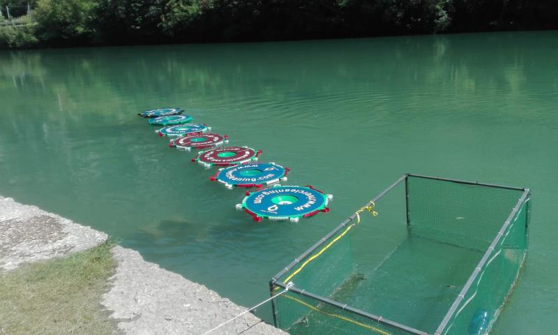 Bassanonet.it - Foto Alessandro Tich