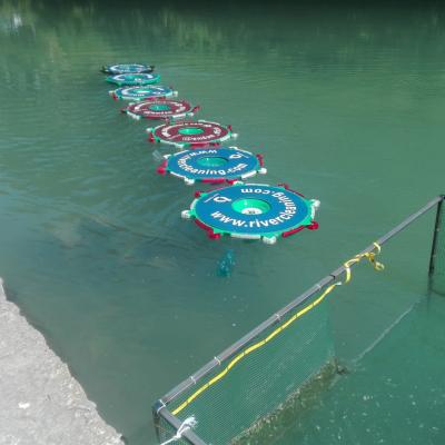 Bassanonet.it Plastica mente