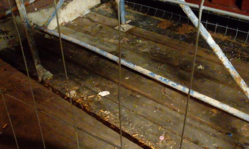 Bassanonet.it - Foto: PD Bassano del Grappa