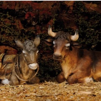 Bassanonet.it Il bue e l'asino