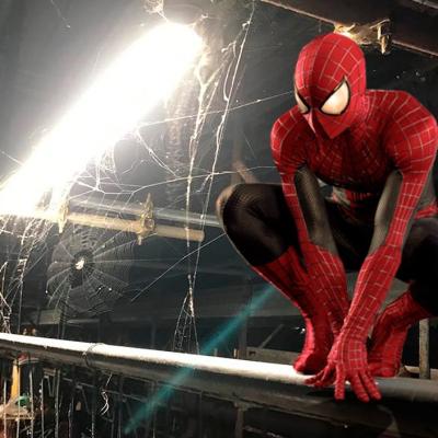 Bassanonet.it Spider City