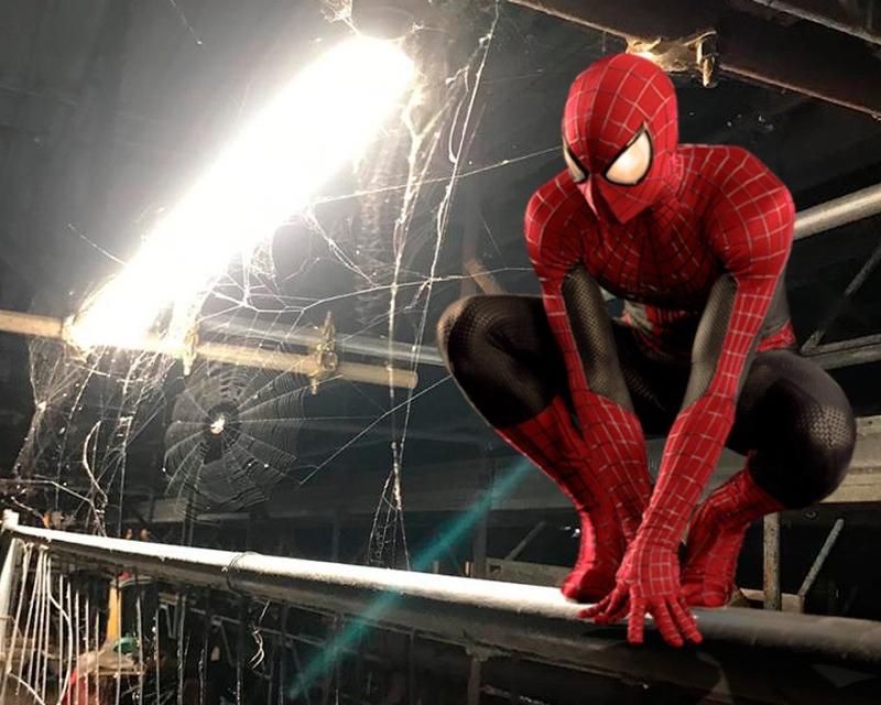 Bassanonet.it Spider City