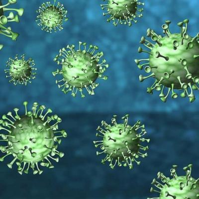 Bassanonet.it Mi sono rotto i tamponi