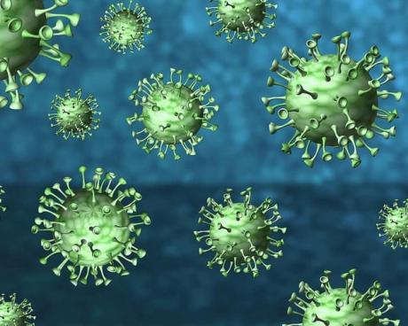 Bassanonet.it Mi sono rotto i tamponi