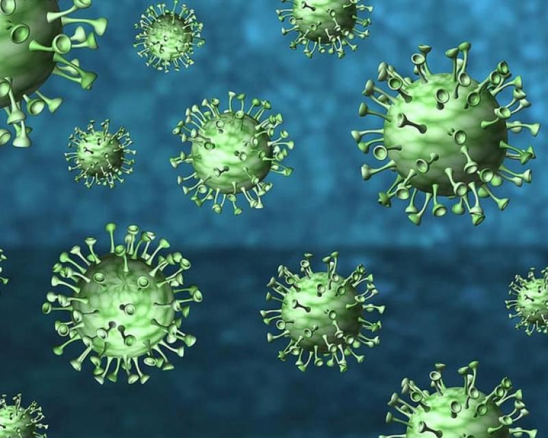 Bassanonet.it Mi sono rotto i tamponi