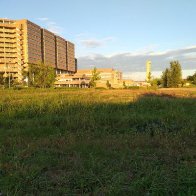 Bassanonet.it La collina dei topi