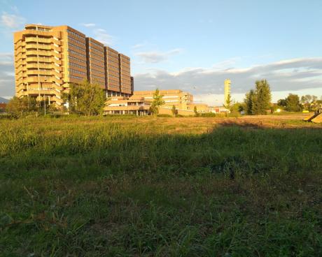 Bassanonet.it La collina dei topi