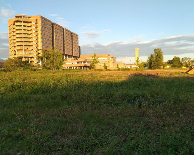 Bassanonet.it La collina dei topi