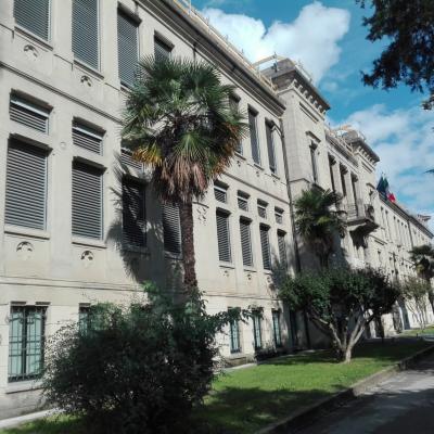 Bassanonet.it Elementare, Watson