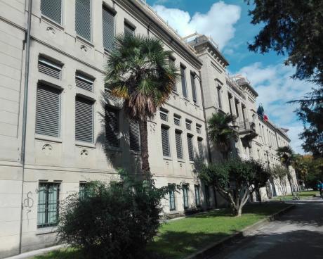 Bassanonet.it Elementare, Watson