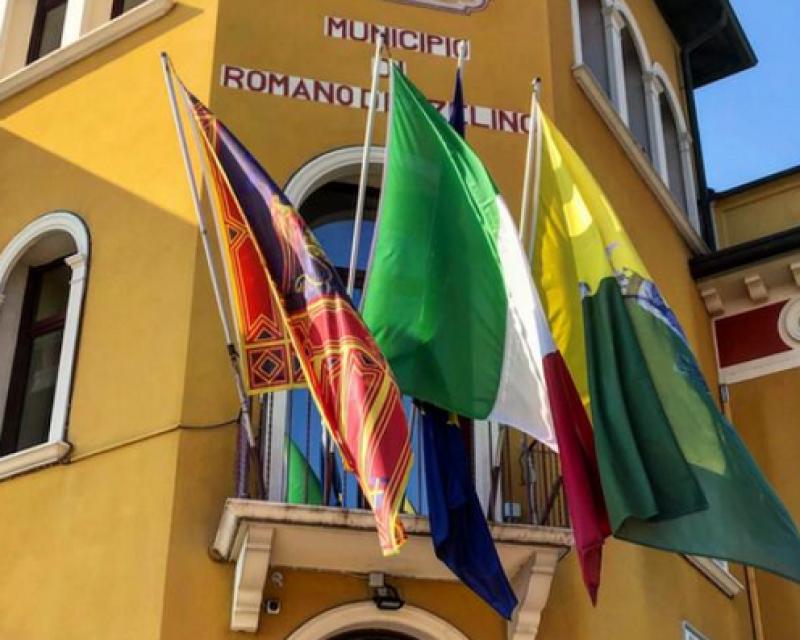 Bassanonet.it L'Olivo della guerra