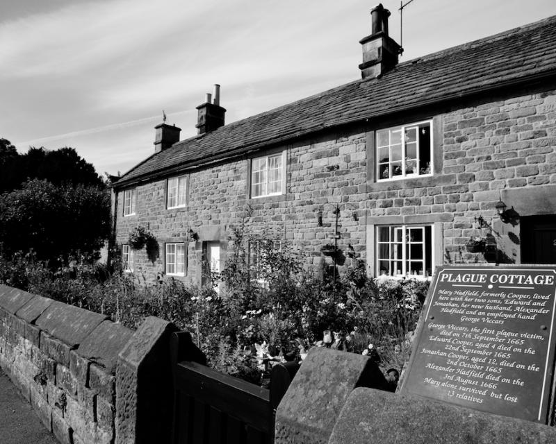 Bassanonet.it Virus globale e gestione locale