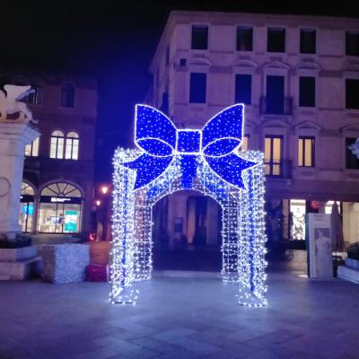 Bassanonet.it I farfalloni