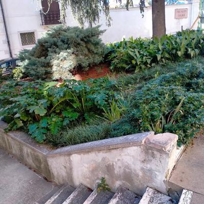 Bassanonet.it La città incolta