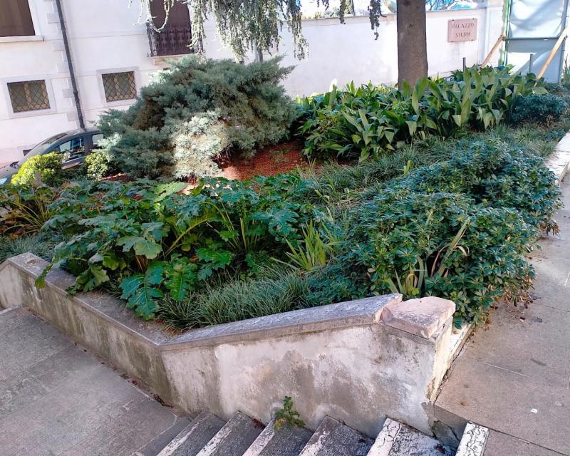 Bassanonet.it La città incolta