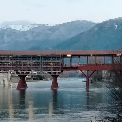 Bassanonet.it 7 settimane e ½