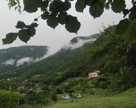 Bassanonet.it A.A.A. territorio cercasi