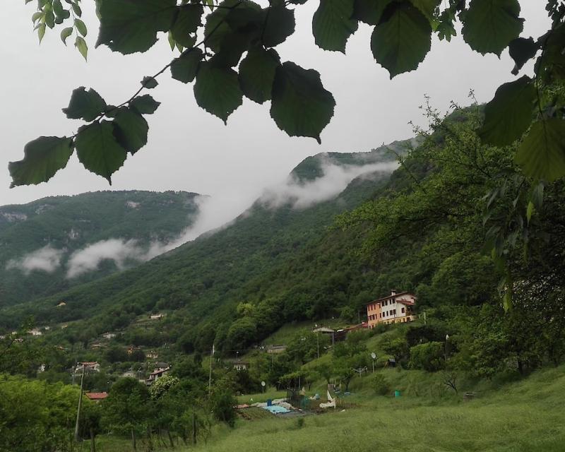 Bassanonet.it A.A.A. territorio cercasi