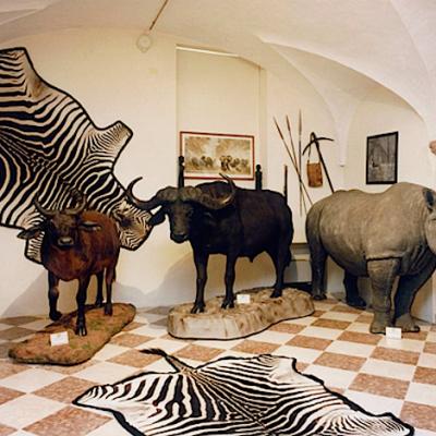 Bassanonet.it Zoo Station