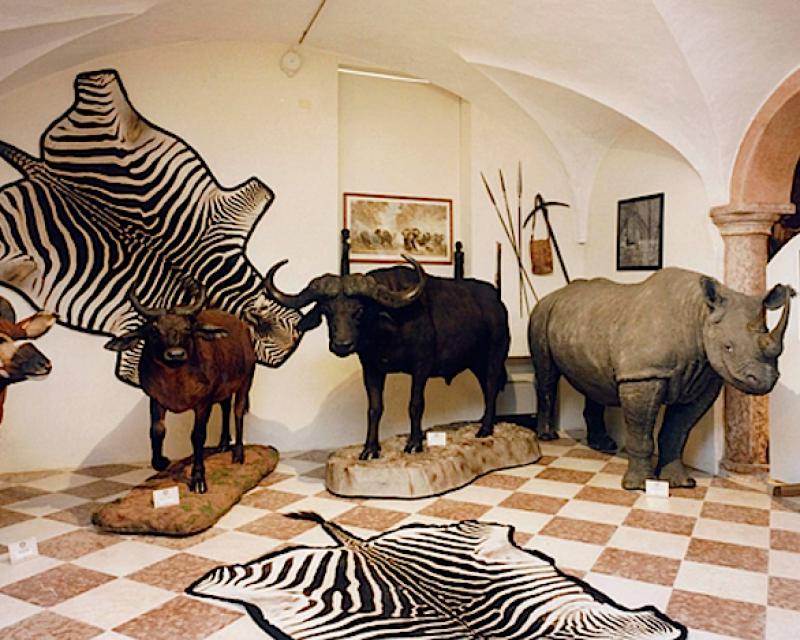 Bassanonet.it Zoo Station