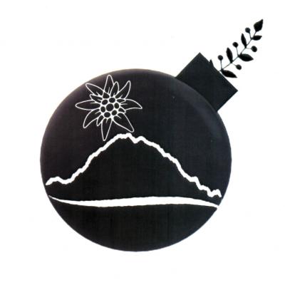 Bassanonet.it Il logo è una bomba