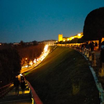 Bassanonet.it Saturday Night Live