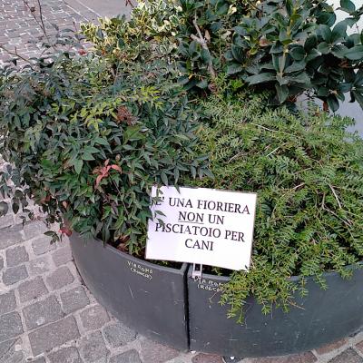 Bassanonet.it La mala educación