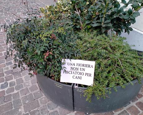 Bassanonet.it La mala educación