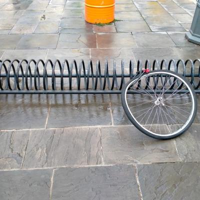 Bassanonet.it A ruota libera