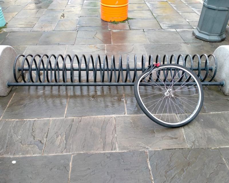 Bassanonet.it A ruota libera