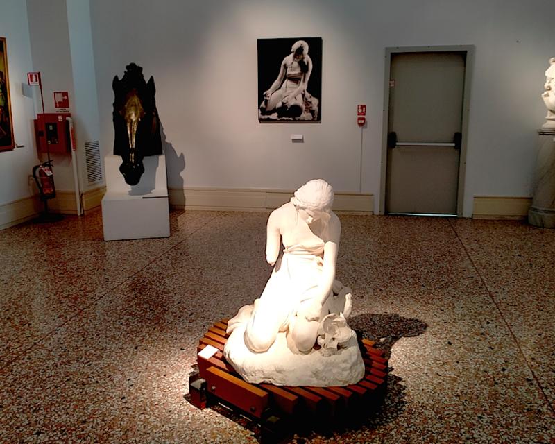 Bassanonet.it Mea Culpa