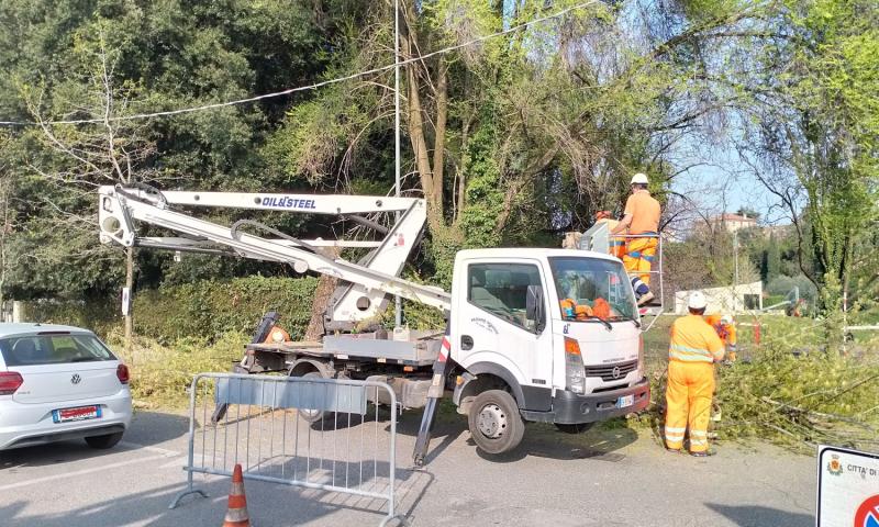 Bassanonet.it - Foto Alessandro Tich