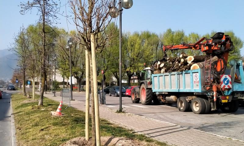 Bassanonet.it - Foto Alessandro Tich