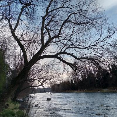 Bassanonet.it Fiume Verde