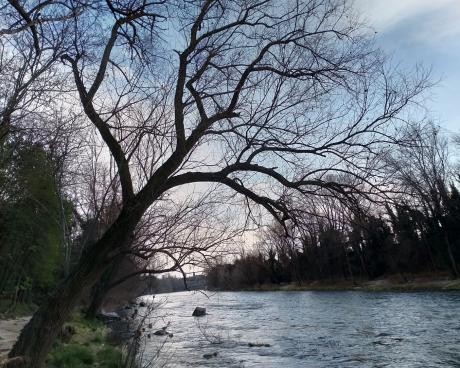 Bassanonet.it Fiume Verde