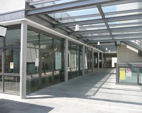 Bassanonet.it Nei gironi del Dantedì