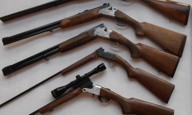 Bassanonet.it - Armi sequestrate