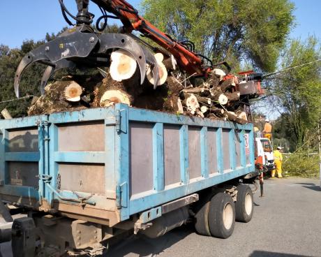 Bassanonet.it Piantatela