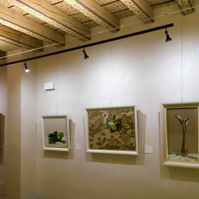 Bassanonet.it Viaggio tra le essenze della natura, con Pellanda