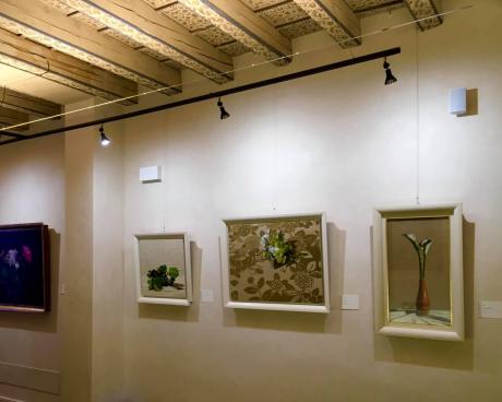 Bassanonet.it Viaggio tra le essenze della natura, con Pellanda