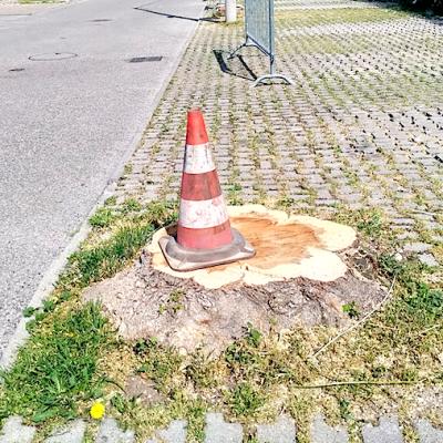 Bassanonet.it L'acero-contuso