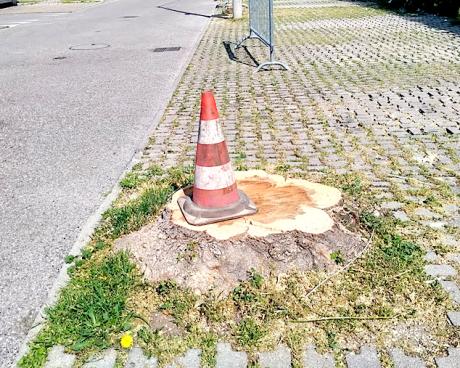 Bassanonet.it L'acero-contuso